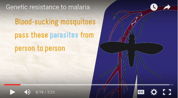 Screen capture of an animation that was designed to make research findings more approachable.